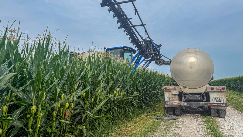 You Can’t Spray Your Way Out of a Weak System