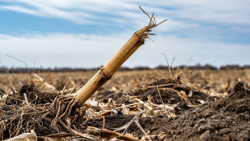 The Stalks Are Still There. Is the Residue Digester Working?