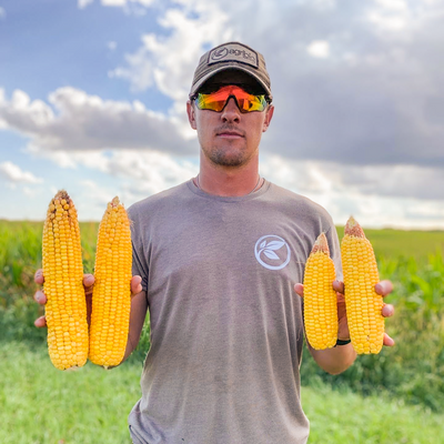 Why were corn yields so variable in 2020?