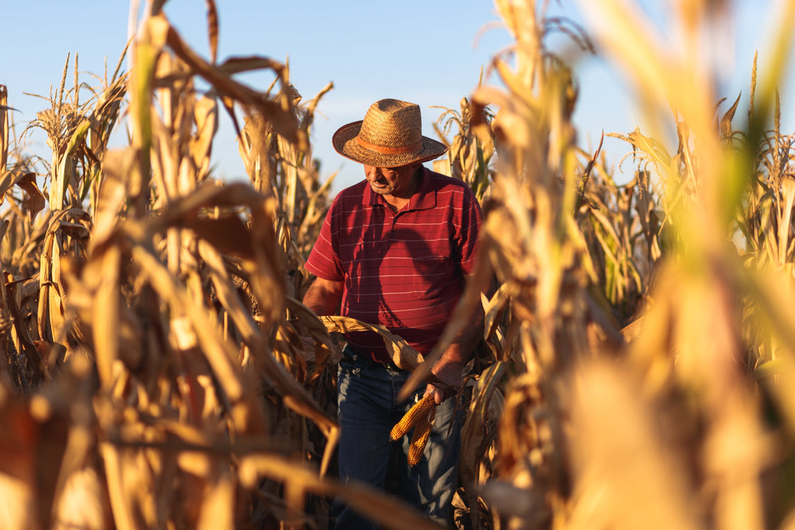 Scouting from the Combine