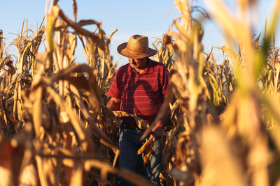 Scouting from the Combine