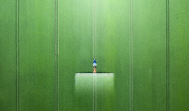 Chelates, EDTA, and Why Amino Chelation Works Better for Plants