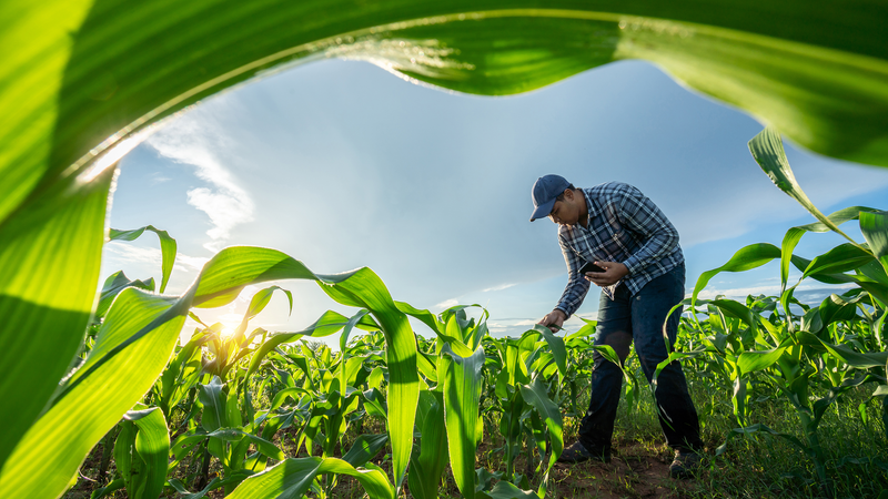 2025 Roots-to-Shoots Trial: What the Data Shows
