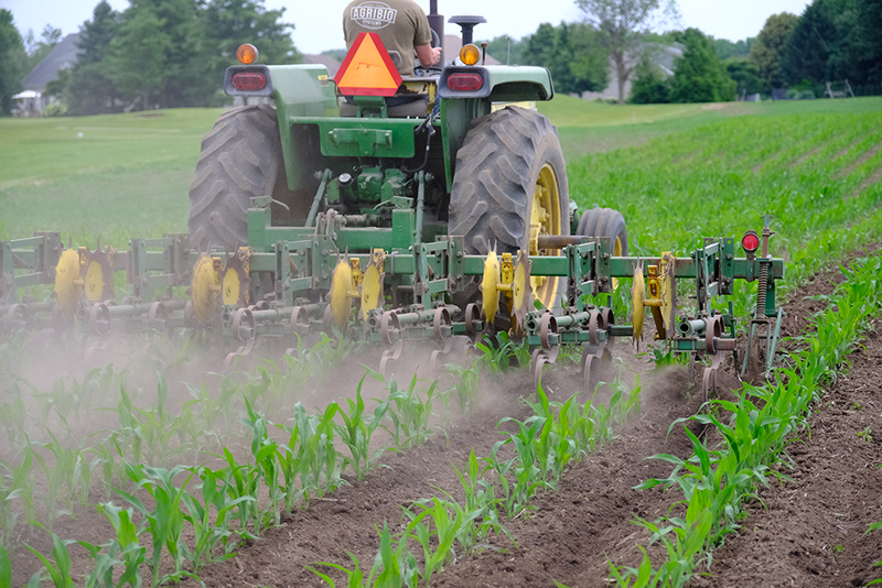 Mid-Season Check-In: Are Your Recovery Plans Keeping Pace with Your Crops?
