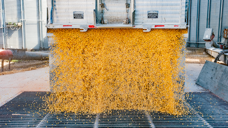 Why Smarter Decisions Matter More Than Ever