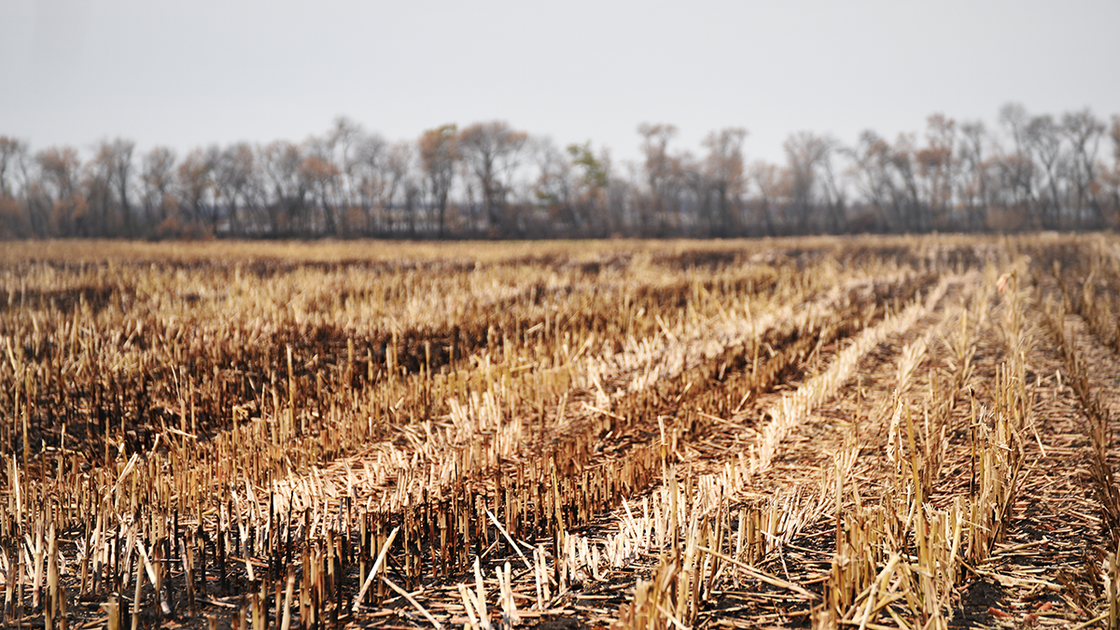 You Already Own More Nutrients Than You Think