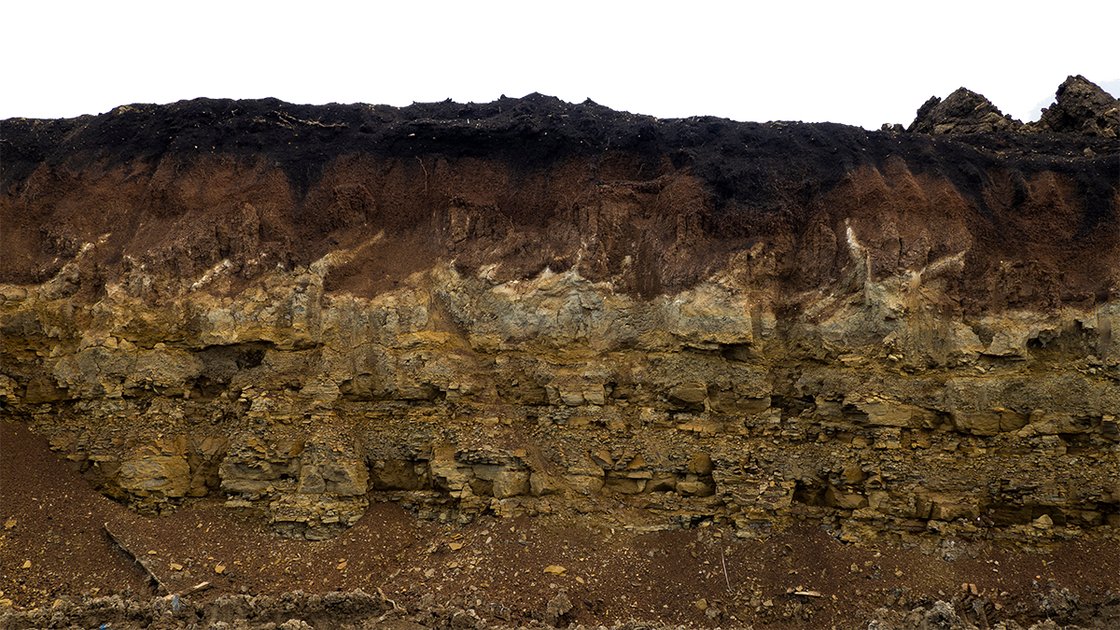 Humic vs. Fulvic Acid: Which One Is Better for Your Crop?