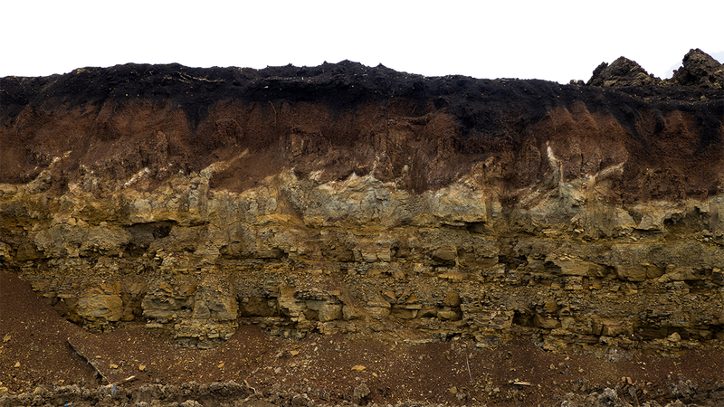 Humic vs. Fulvic Acid: Which One Is Better for Your Crop?
