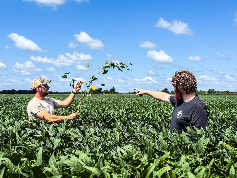 Knowledge Builds Better Farms