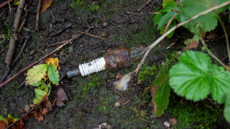 The Forgotten Elements Series, Part 7: Molybdenum