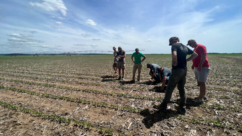 Why Regeneration Starts With Observation, Not Action