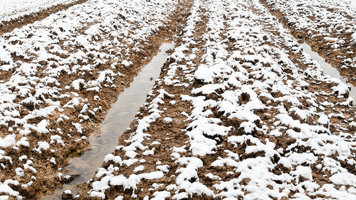 Why Fall Fertilizer Applications Fail (and How to Fix Them)