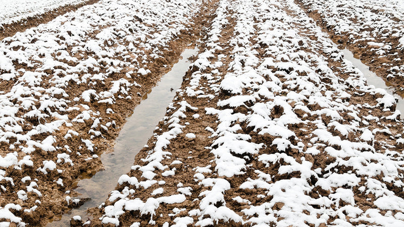 Why Fall Fertilizer Applications Fail (and How to Fix Them)