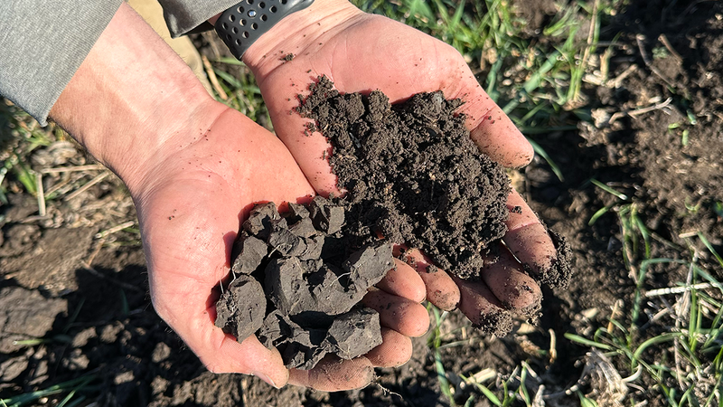 Unlocking Soil Potential: Why the Calcium-to-Magnesium Ratio Matters More Than You Think