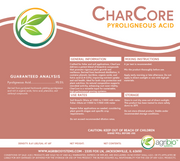 CharCore